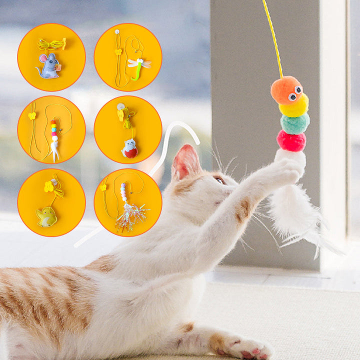 Svart-hvit katt hopper etter den interaktive plysj katteleken for aktivitet.