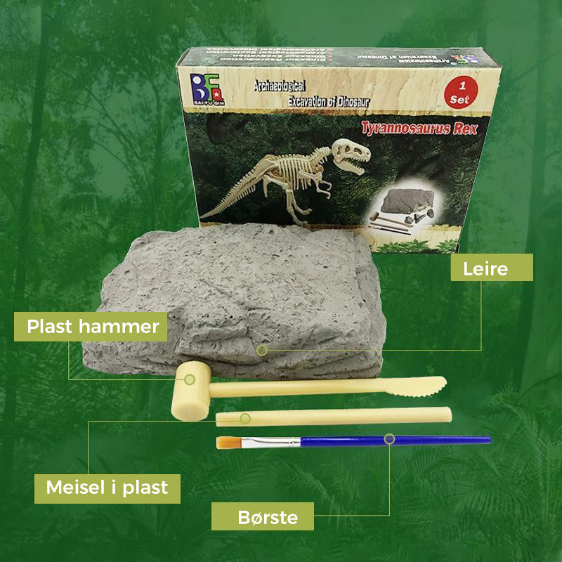 Komplett dinosaurfossil utgravningssett for barn. Lærerik DIY leke, utforsk arkeologi.