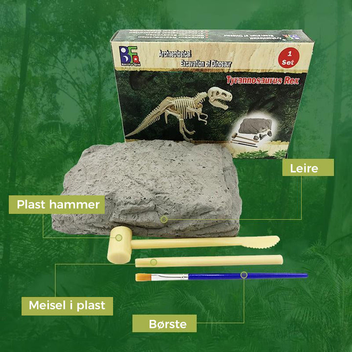 Komplett dinosaurfossil utgravningssett for barn. Lærerik DIY leke, utforsk arkeologi.