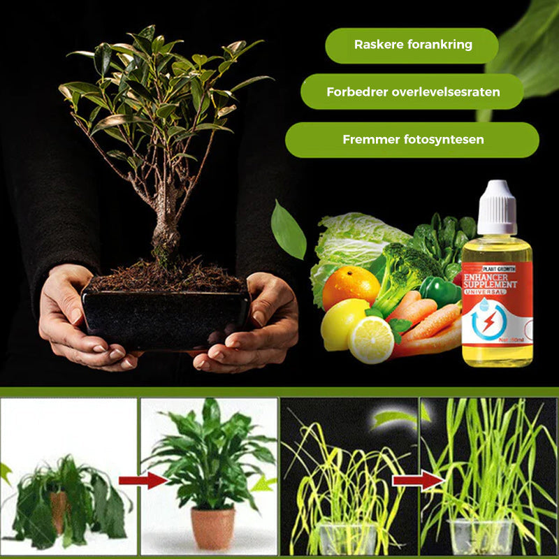 Optimal rotvekst forsterker. Essensiell plantenæring for en sunn og produktiv hage.