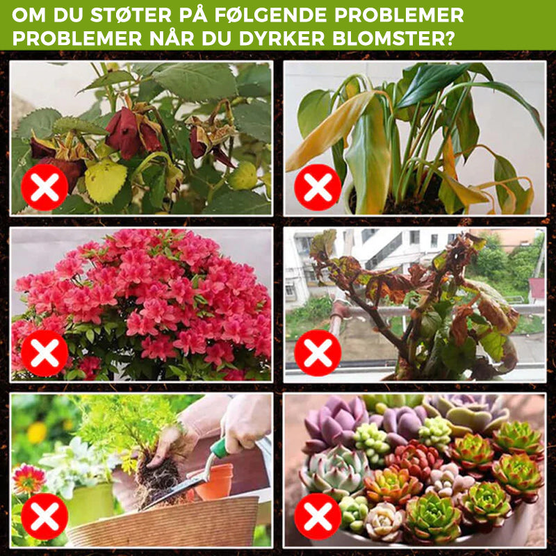 Ernæringsløsning for planter. Styrker røtter og fremmer frodig vekst i hagen din.