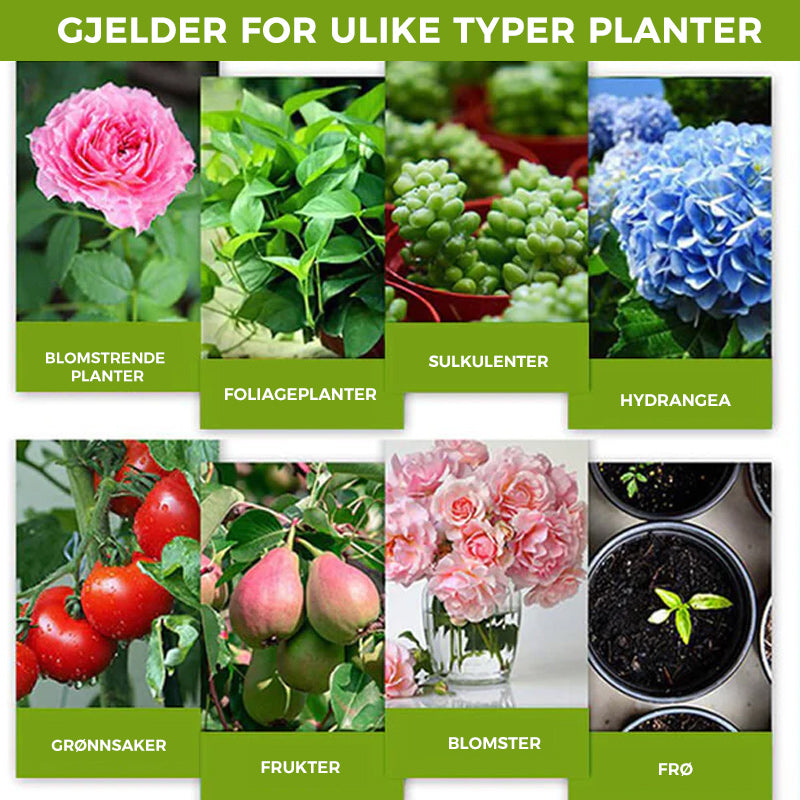 Bilde av flaske "Plantevekstforsterker", klar til bruk for optimalt plante stell og vekst.