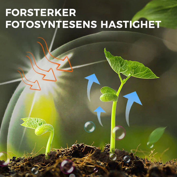 Hageprodukter: Plantevekstforsterker som gir dine blomster, grønnsaker og frukttrær næring.