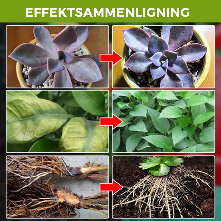 Gjødsel for plantevekst og rotutvikling. Viktig hagetilbehør for en frodig hage.