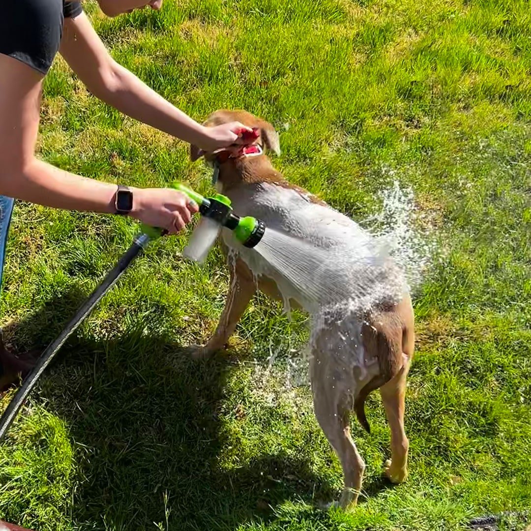 Person vasker hund med hundevasker og sjamposprayer, forenkler hundebad og pelsrengjøring av kjæledyr.