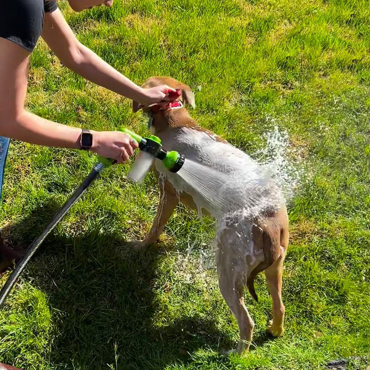 Person vasker hund med hundevasker og sjamposprayer, forenkler hundebad og pelsrengjøring av kjæledyr.