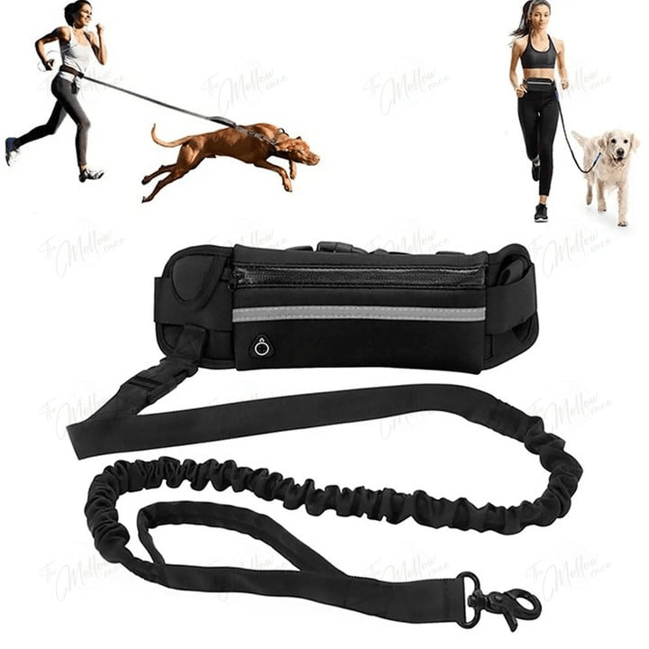 Håndfritt elastisk hundebånd for løping og jogging. Komfortabelt løpebånd med støtdemping for deg og din hund.