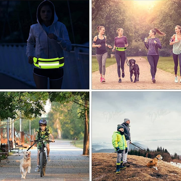 Elastisk joggebånd for hund med justerbart belte. Håndfritt og støtdempende design for tur og løping.