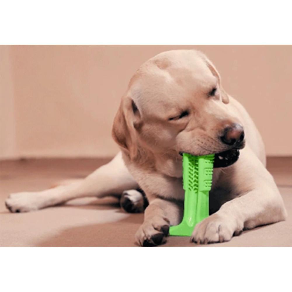 Innovativ hundetannbørste for grundig tannpleie og munnhygiene hos hund og valp.