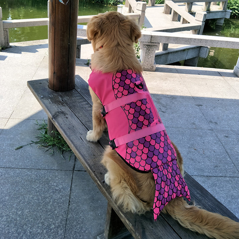 Komfortabel hunderedningsvest som gir fri bevegelse i vannet, perfekt for aktive hunder.