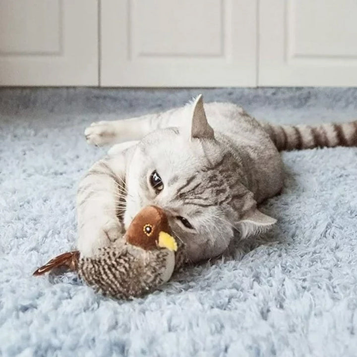 Kvitrende katteleke, perfekt for å vekke kattens naturlige jaktinstinkt.