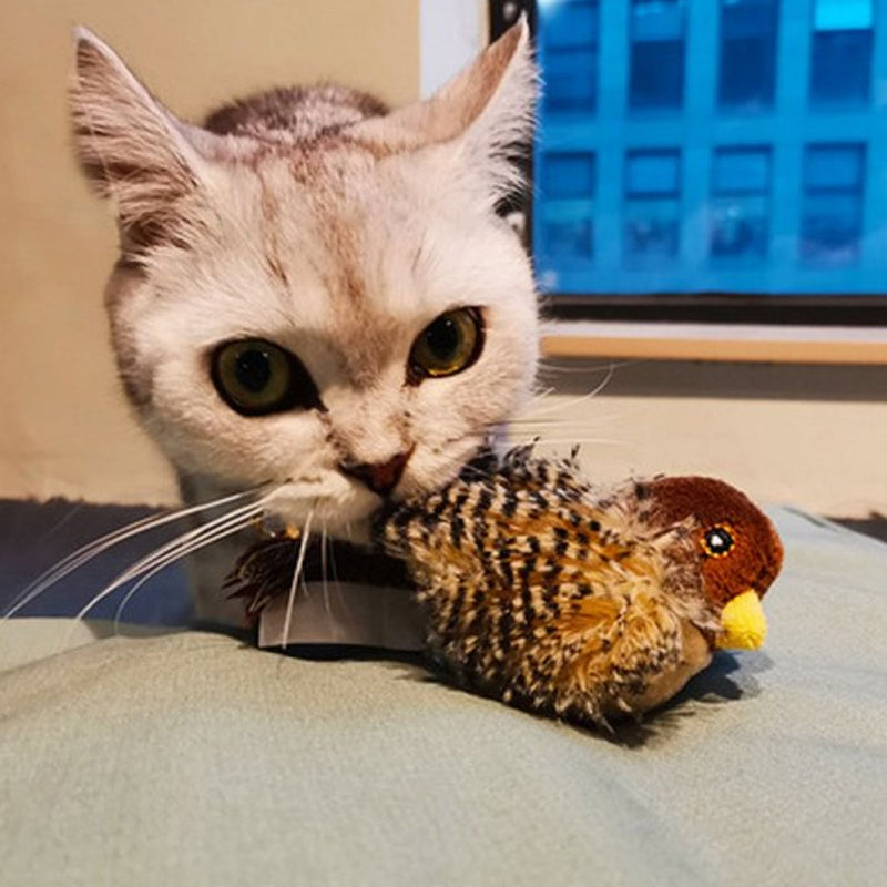 Nærbilde av kvitrende fugleleke for katt med detaljerte fjær.