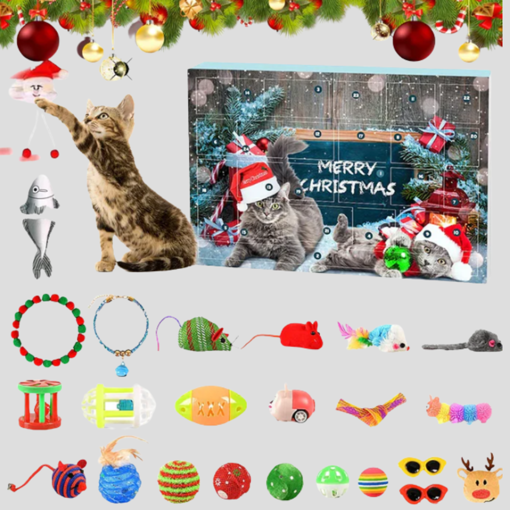 Interaktiv kattelek adventskalender med 24 dager spenning. Perfekt julegave for katten din.