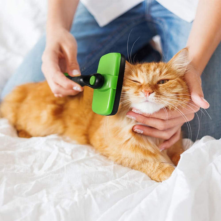 Selvrensende slickerbørste for enkel pelsstell av hund og katt.