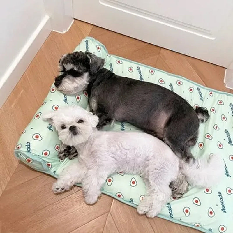 Vaskbar kjølematte for hund og katt, laget av svalende issilke. Hygienisk og lettstelt dyreutstyr.
