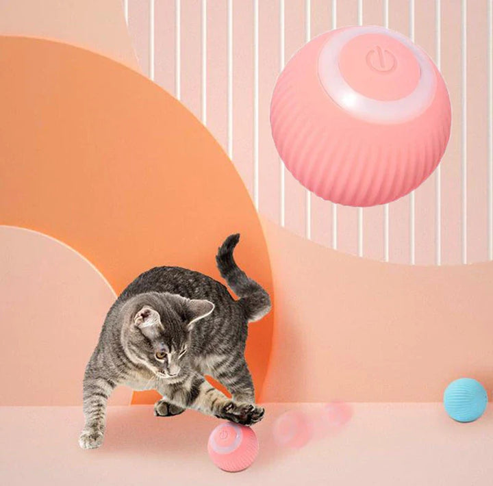 Gravitasjonsball for katt på tregulv. Holdbar silikon kjæledyrleke for daglig aktivitet og moro.