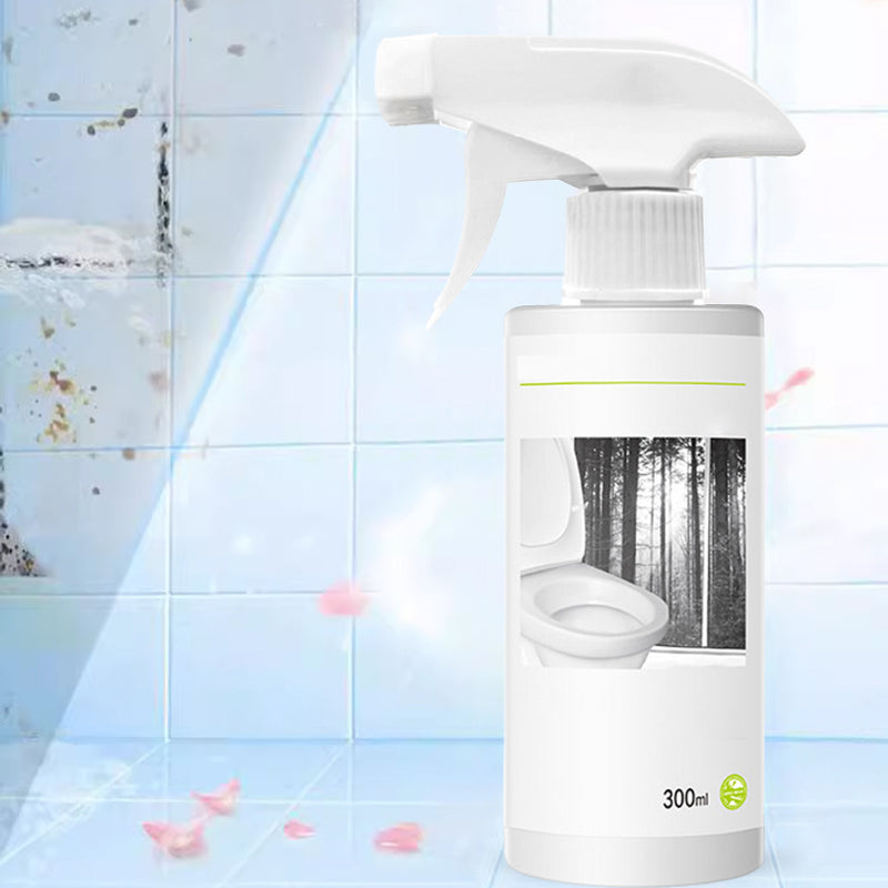 Flaske med oksalsyreflekkfjerner for skinnende rent toalett og hygienisk bad.