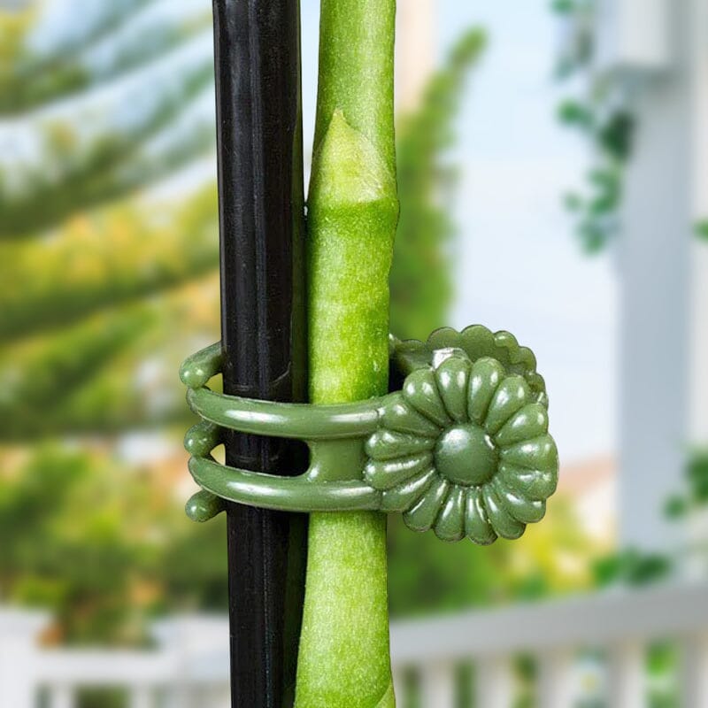 Allsidig hageklips for stabilisering av plantestengler. Ideell blomsterstøtte for alle typer planter i hagen.