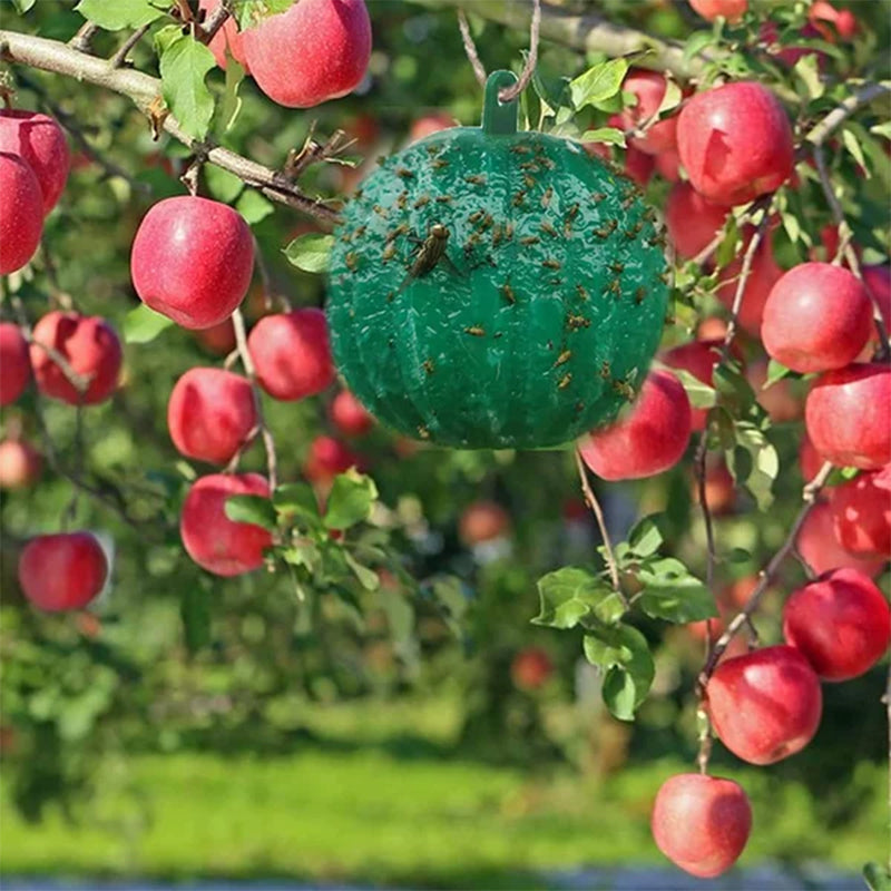Hengende fruktfluefeller, effektive mot insekter hjemme og i hagen. Miljøvennlig skadedyrkontroll.