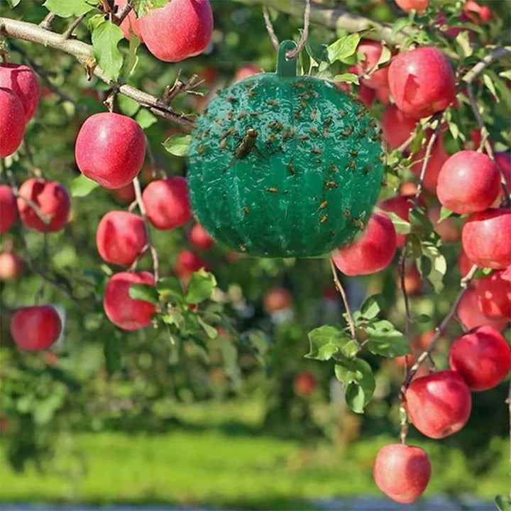 Hengende fruktfluefeller, effektive mot insekter hjemme og i hagen. Miljøvennlig skadedyrkontroll.