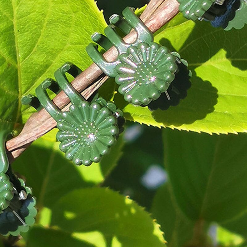 Gjenbrukbare plantestøtteklips for miljøvennlig hagearbeid. Sikrer langvarig støtte for planter og blomster.
