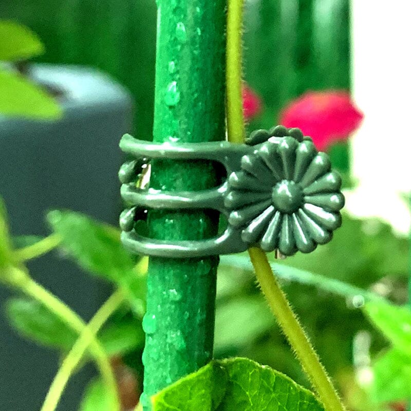 Universal planteklips for hage og planter. Støtter stengler og blomster for sunn vekst i grønnsakshagen.