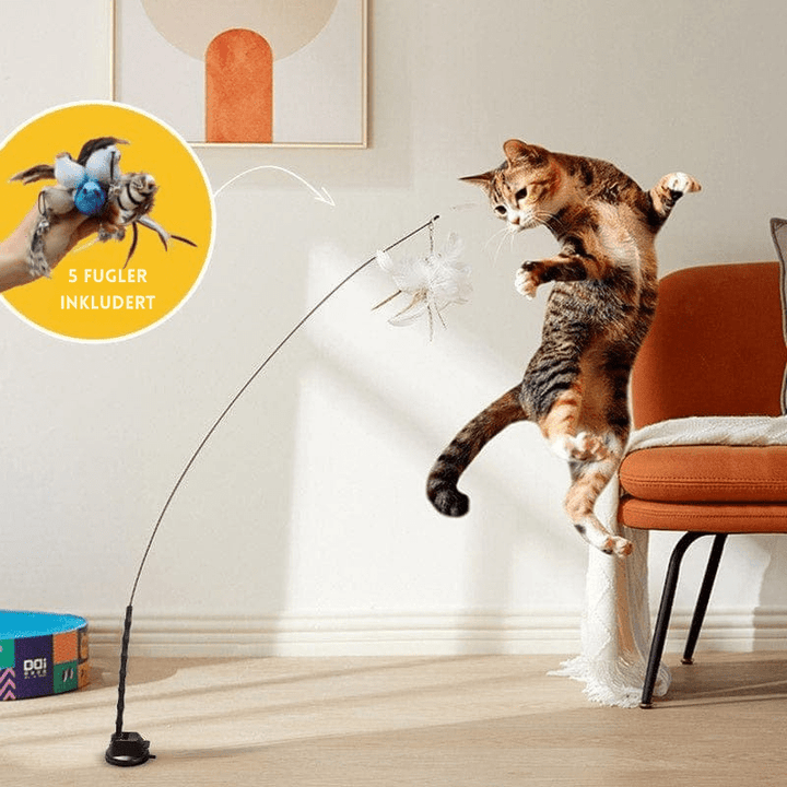 Fugleleke som stimulerer kattens jaktinstinkt og mentale aktivitet. Perfekt mot kjedsomhet for innekatt.
