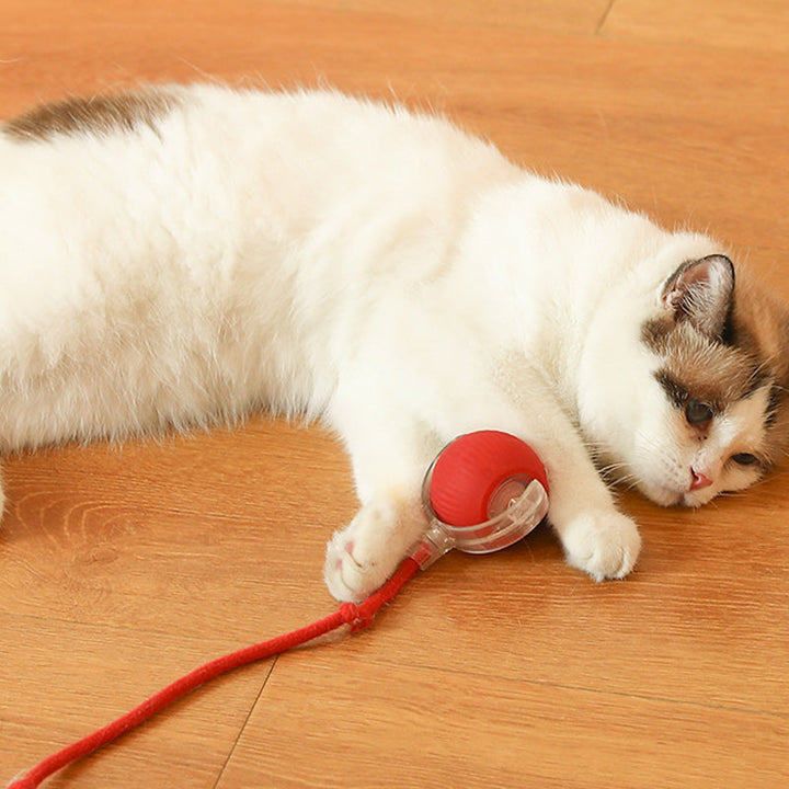 Rød intelligent lekeball som holder kjæledyret aktivt. Perfekt for hund og katt, gir stimulerende innendørs moro.