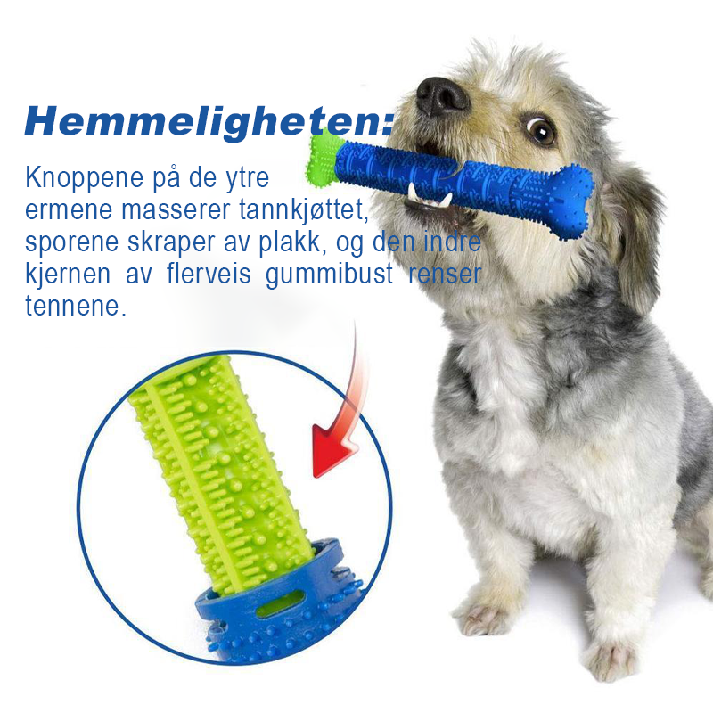 Slitesterk tyggeleke og tannbørste for hund, designet for å rense tenner og massere tannkjøttet under lek.