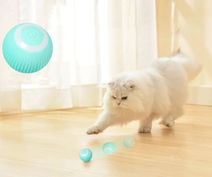 Interaktiv smartball for kjæledyr. Selvrullende leketøy gir stimulering & underholdning for katt & valp.
