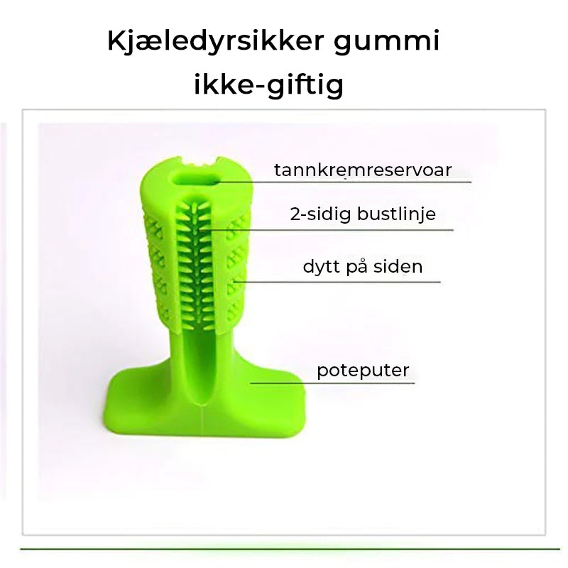 Stor hundetannbørste for mellomstore og store hunder, for grundig tannrengjøring.