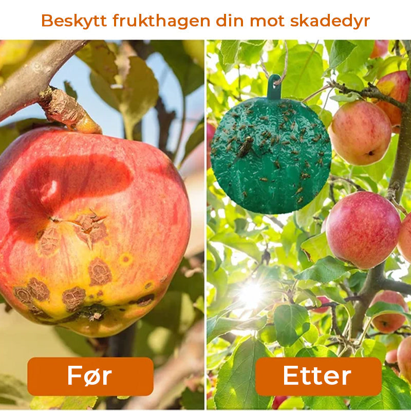Enkel montering: Hengende fruktfluefelle for umiddelbar beskyttelse mot skadedyr hjemme.
