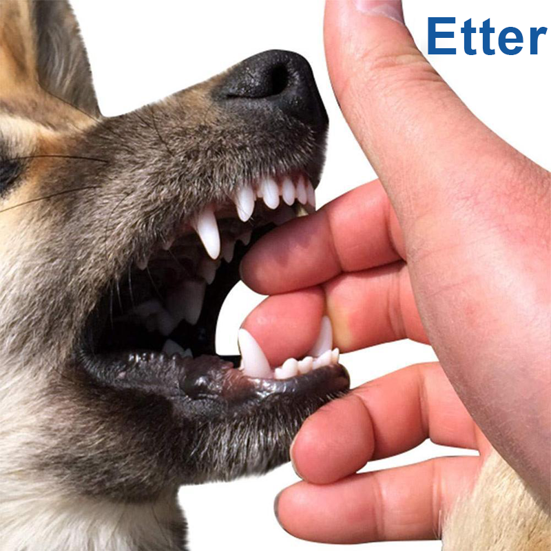 Glad hund tygger på sin interaktive tannbørste, som forebygger tannstein og gir sunnere tenner.