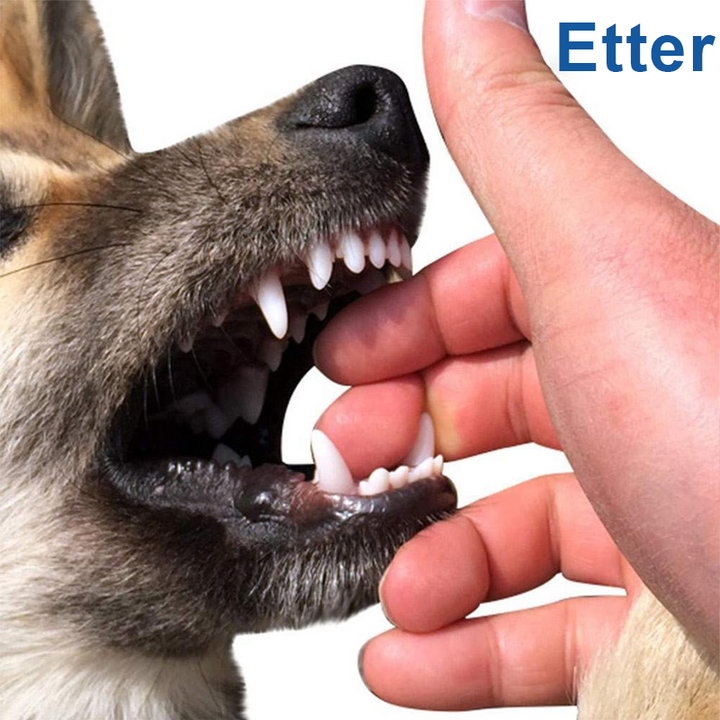Glad hund tygger på sin interaktive tannbørste, som forebygger tannstein og gir sunnere tenner.