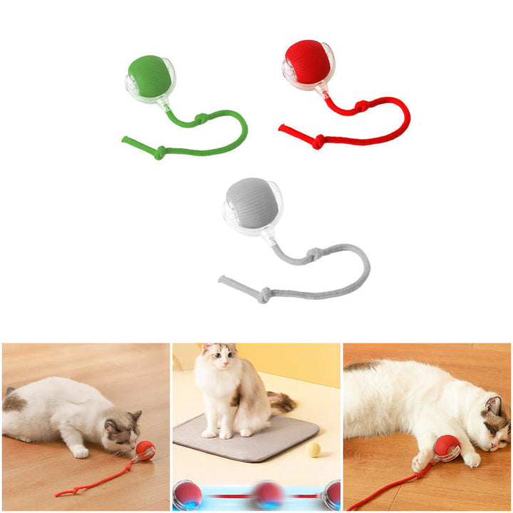 Stimulerende lekeball for kjæledyr. En smart og interaktiv leke som gir timevis med moro for hund og katt.