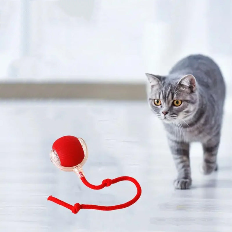Interaktiv lekeball for katt og hund. En intelligent leke som fremmer sunn aktivitet og mental stimulering.