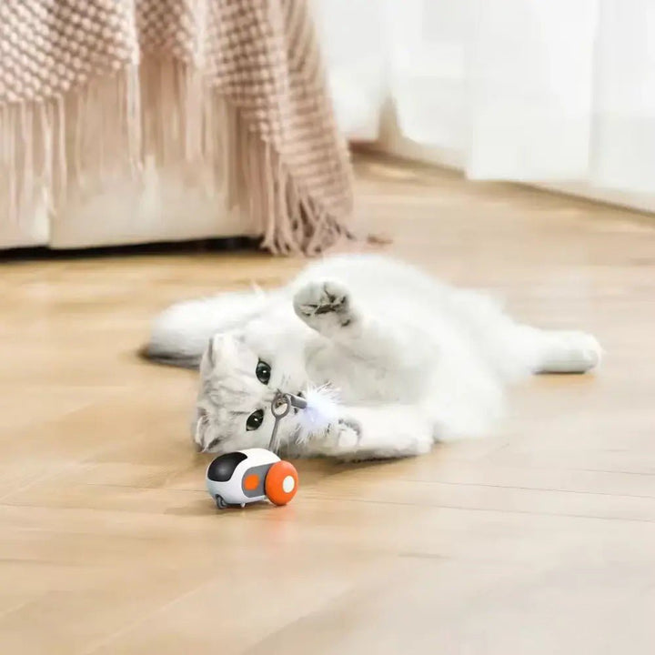 Intelligent PurrBot 2.0 robotleke til katter, fjernstyrt for engasjerende interaktiv lek.