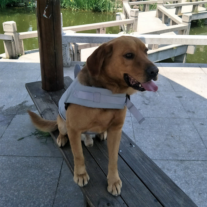 Grønn hunderedningsvest for kjæledyr, lett og ergonomisk designet for vannaktiviteter.