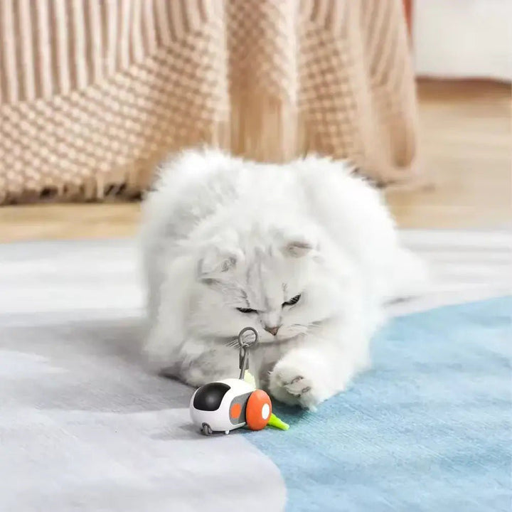 PurrBot 2.0 interaktiv robotleke med flere moduser, gir variert underholdning for katter.