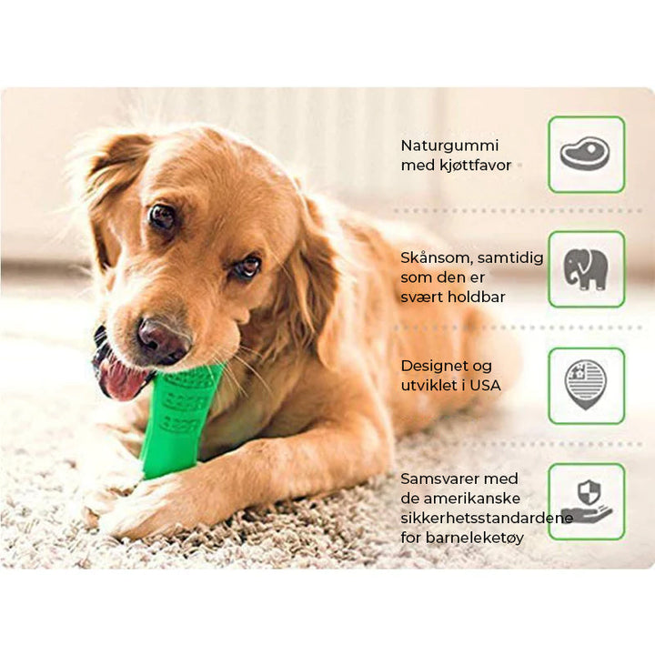 Ergonomisk utformet hundetannbørste med bust for dyp rengjøring av hundens tenner.