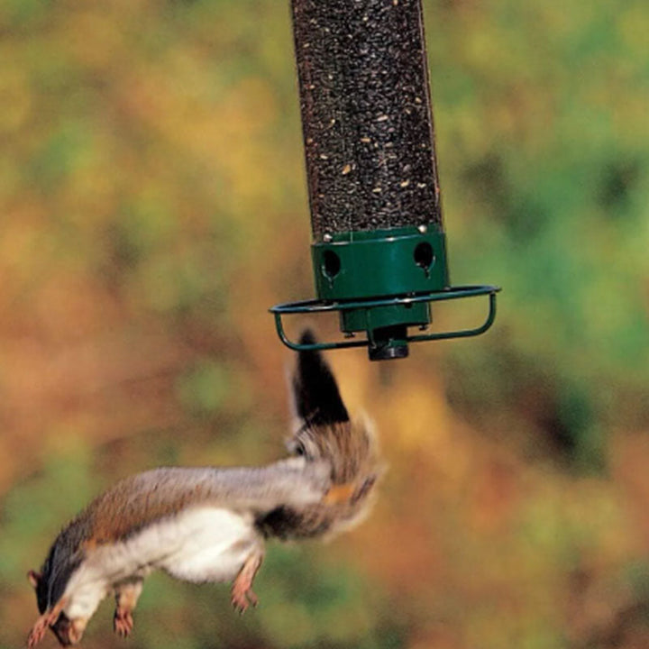 Ideell gave: Slitesterk, ekornsikker fuglemater for utendørs bruk. Skap glede for småfuglene i hagen.
