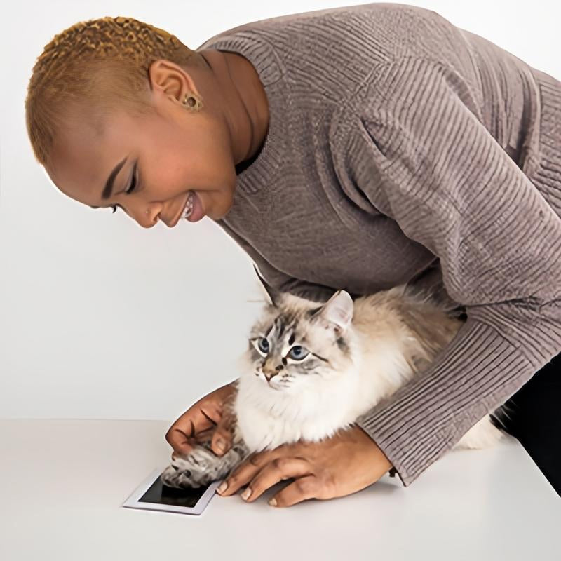 Fang kattens unike poteavtrykk med dette blekkfrie settet. Et vakkert minne for kjæledyreiere.