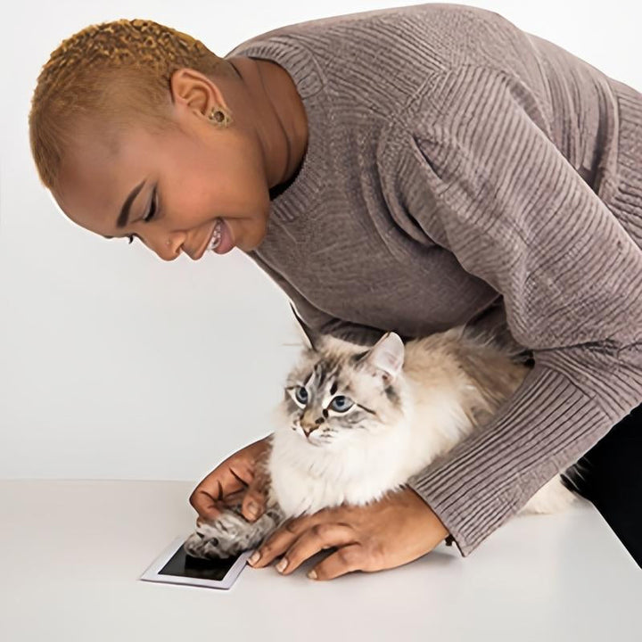 Fang kattens unike poteavtrykk med dette blekkfrie settet. Et vakkert minne for kjæledyreiere.