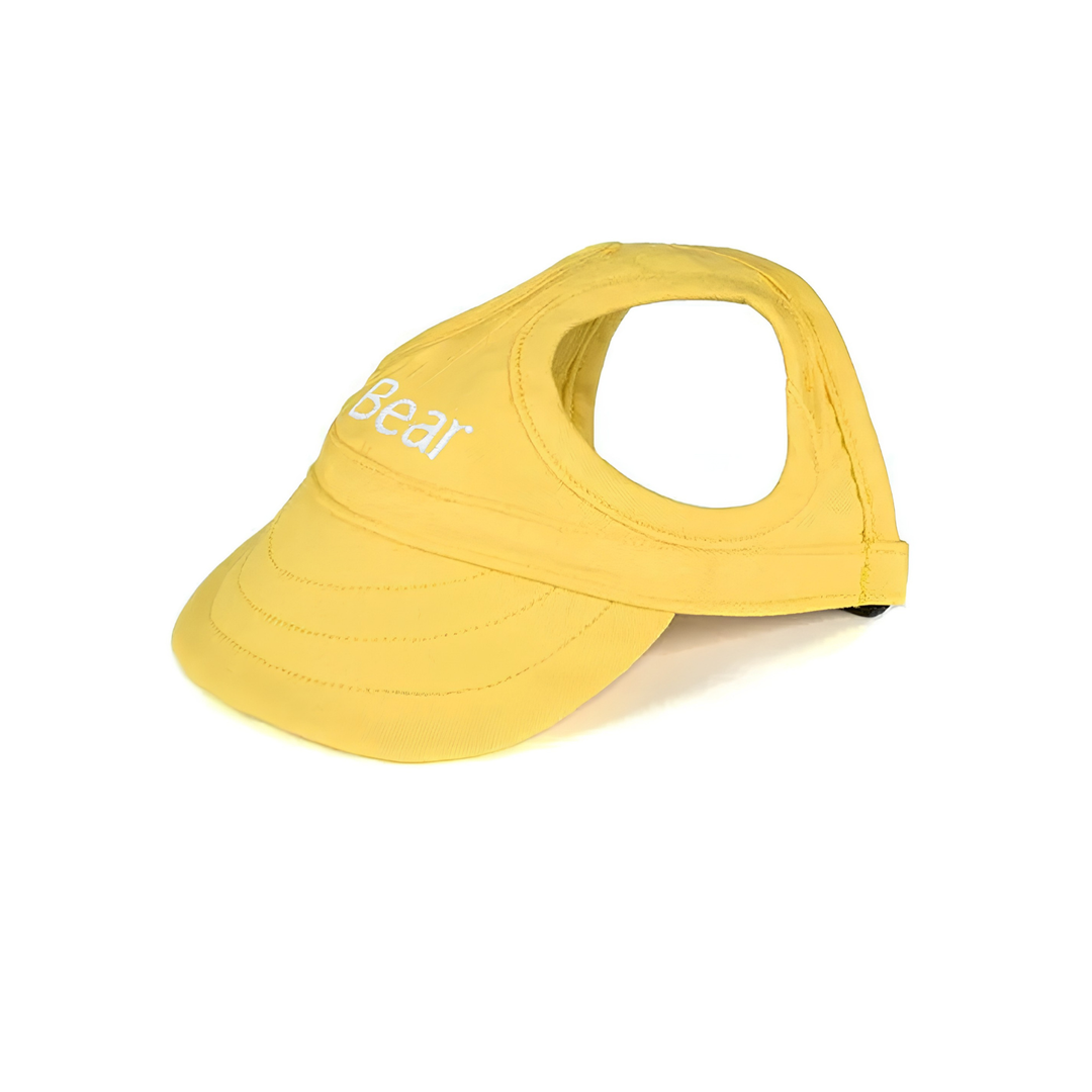 Hund med stilig, UV-beskyttende solhatt nyter strandtur, beskyttet mot solens stråler. Essentialt sommerutstyr for hund.