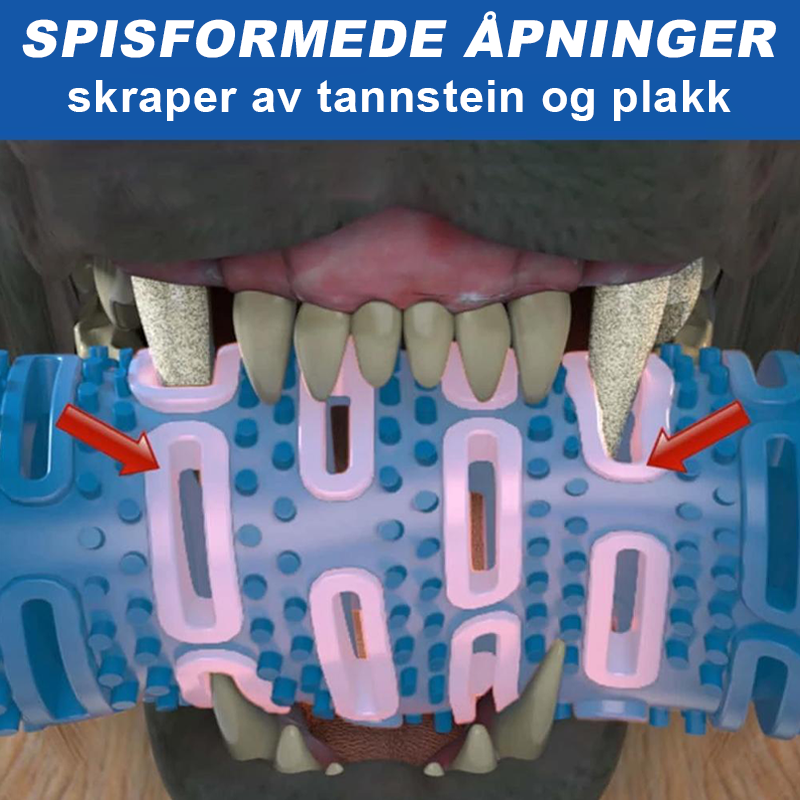 Ergonomisk utformet hundetannbørste for valper og voksne hunder, sikrer optimal tannrengjøring.