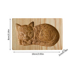 Sovende katt