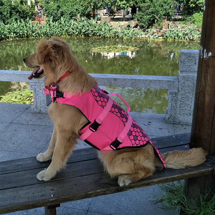 Justerbar oransje flytevest for hund, sikrer perfekt passform og maksimal sikkerhet i vannet.