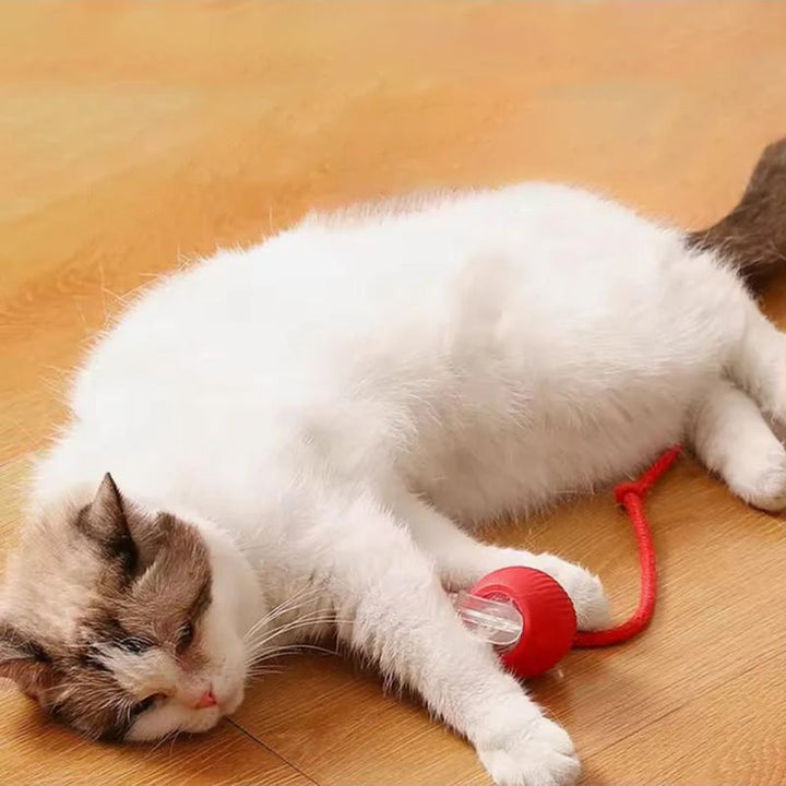 Katteball som ruller selv, for endeløs underholdning og fysisk trening av katt.