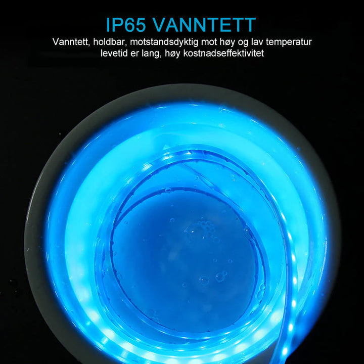 Lysende LED-stripe langs bilpanseret, gir en imponerende lysshow effekt for bilens front.