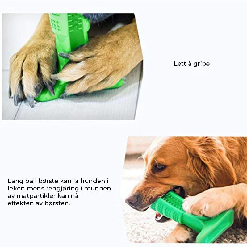 Hundetannbørste i forskjellige størrelser for optimal tannpleie og munnhygiene til alle hunder.